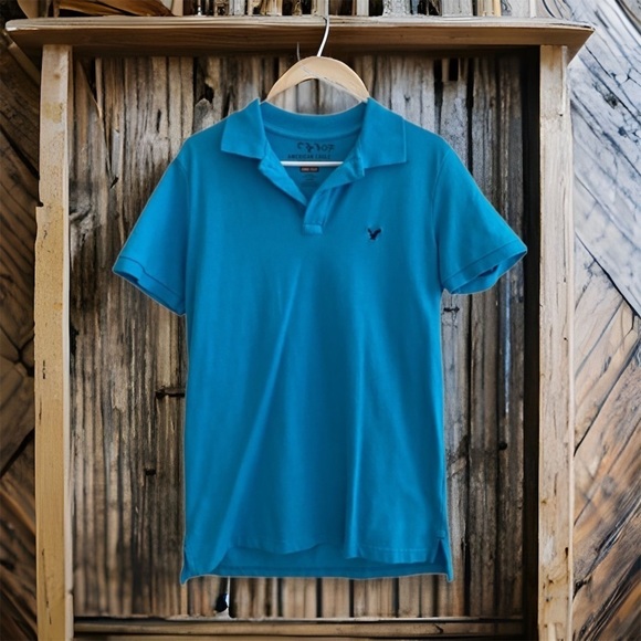 American Eagle Polo - Picture 1 of 2